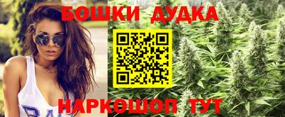 СК Шахты